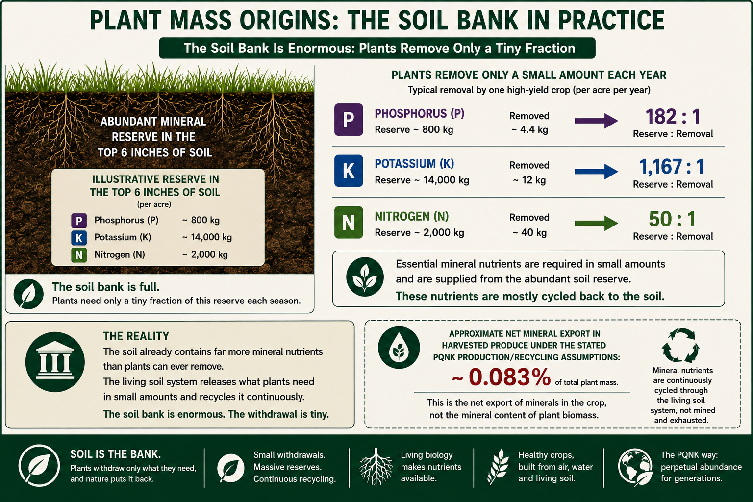 Infographic: Plant Mass Origins, the soil bank in practice. The soil bank is enormous; plants remove only a tiny fraction. Illustrative reserve in the top 6 inches of soil, per acre: phosphorus about 800 kg, potassium about 14,000 kg, nitrogen about 2,000 kg. Typical removal by one high-yield crop, per acre per year: phosphorus about 4.4 kg, a reserve-to-removal ratio of 182 to 1; potassium about 12 kg, 1,167 to 1; nitrogen about 40 kg, 50 to 1. Essential mineral nutrients are required in small amounts, are supplied from the abundant soil reserve, and are mostly cycled back to the soil. The reality: the soil already contains far more mineral nutrients than plants can ever remove; the living soil system releases what plants need in small amounts and recycles it continuously. The soil bank is enormous; the withdrawal is tiny. Approximate net mineral export in harvested produce under the stated PQNK production and recycling assumptions: about 0.083 percent of total plant mass. This is the net export of minerals in the crop, not the mineral content of plant biomass. Mineral nutrients are continuously cycled through the living soil system, not mined and exhausted. Soil is the bank: plants withdraw only what they need, and nature puts it back. Small withdrawals, massive reserves, continuous recycling; living biology makes nutrients available; healthy crops are built from air, water and living soil. The PQNK way: perpetual abundance for generations.