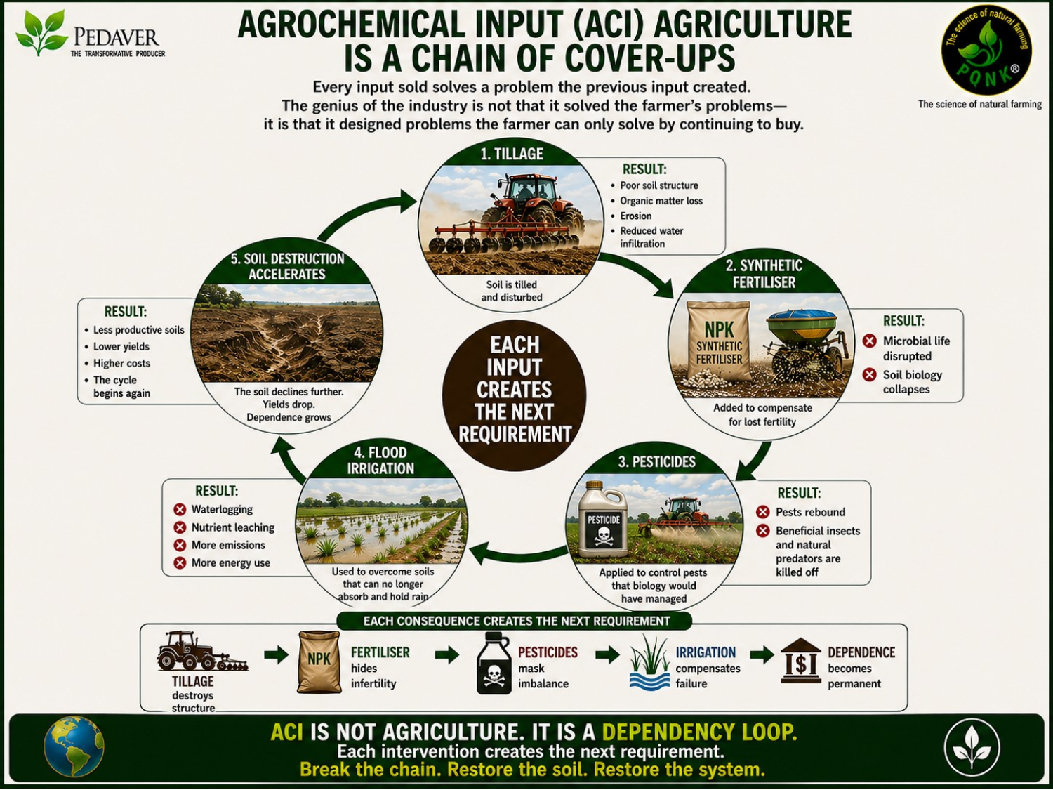 Infographic: Agrochemical Input (ACI) Agriculture Is a Chain of Cover-ups. Every input sold solves a problem the previous input created; the industry designed problems the farmer can only solve by continuing to buy. A cycle of five steps, in which each input creates the next requirement. One, tillage: the soil is tilled and disturbed, resulting in poor soil structure, organic matter loss, erosion and reduced water infiltration. Two, synthetic fertiliser, added to compensate for lost fertility: microbial life is disrupted and soil biology collapses. Three, pesticides, applied to control pests that biology would have managed: pests rebound, and beneficial insects and natural predators are killed off. Four, flood irrigation, used to overcome soils that can no longer absorb and hold rain: waterlogging, nutrient leaching, more emissions and more energy use. Five, soil destruction accelerates: the soil declines further, yields drop, dependence grows, costs rise and the cycle begins again. Each consequence creates the next requirement: tillage destroys structure, fertiliser hides infertility, pesticides mask imbalance, irrigation compensates for failure, and dependence becomes permanent. ACI is not agriculture; it is a dependency loop. Break the chain, restore the soil, restore the system.