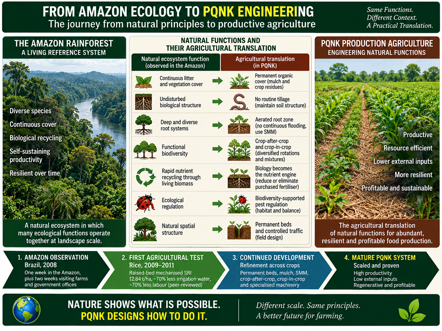 Infographic: From Amazon Ecology to PQNK Engineering, the journey from natural principles to productive agriculture: same functions, different context, a practical translation. The Amazon rainforest, a living reference system with diverse species, continuous cover, biological recycling, self-sustaining productivity and resilience over time. Natural functions and their agricultural translation in PQNK: continuous litter and vegetation cover becomes permanent organic cover of mulch and crop residues; undisturbed biological structure becomes no routine tillage; deep and diverse root systems become an aerated root zone, with no continuous flooding and soil moisture management; functional biodiversity becomes crop-after-crop and crop-in-crop; rapid nutrient recycling through living biomass becomes biology as the nutrient engine, reducing or eliminating purchased fertiliser; ecological regulation becomes biodiversity-supported pest regulation; and natural spatial structure becomes permanent beds and controlled traffic. PQNK production agriculture, engineering natural functions: productive, resource efficient, lower external inputs, more resilient, profitable and sustainable. The journey: one, Amazon observation, Brazil 2008; two, first agricultural test, rice 2009 to 2011, raised-bed mechanised SRI, 12.84 tonnes per hectare with about 70 percent less irrigation water and 70 percent less labour, peer-reviewed; three, continued development across crops, with permanent beds, mulch, SMM, crop-after-crop, crop-in-crop and specialised machinery; four, the mature PQNK system, scaled and proven, with high productivity, low external inputs, regenerative and profitable. Nature shows what is possible; PQNK designs how to do it.