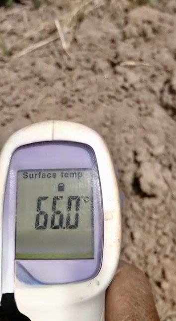 Photo: an infrared thermometer held over bare soil reads a surface temperature of 66.0 °C.