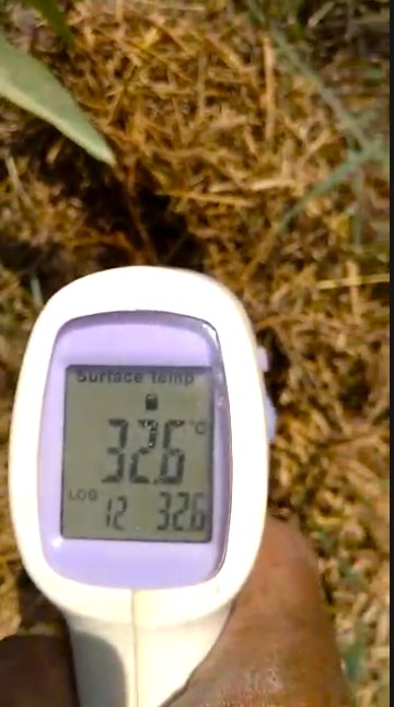 Photo: the same infrared thermometer held over dry straw mulch reads 32.6 °C.