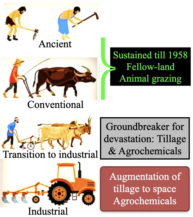 Illustration of four stages of farming. Ancient: people working the soil by hand with a digging stick and hoe. Conventional: a farmer ploughing with a single ox. Together these sustained farming till 1958, with fallow land and animal grazing. Transition to industrial: a pair of oxen pulling an iron plough, the groundbreaker for devastation, tillage and agrochemicals. Industrial: a tractor with a plough, the augmentation of tillage to space and agrochemicals.